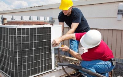 Nunc Volutpat Venenatis