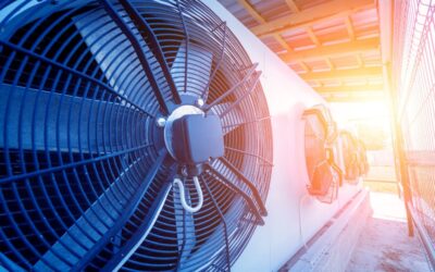 Vestibulum Nisl Felis